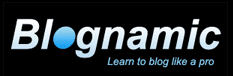 Blog Like A Pro